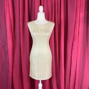 Anthro Gyalwana Champaign embroidered sheath cocktail party dress, 7 or 155/88a